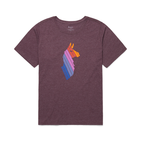Llama Stripes T-Shirt - Women's